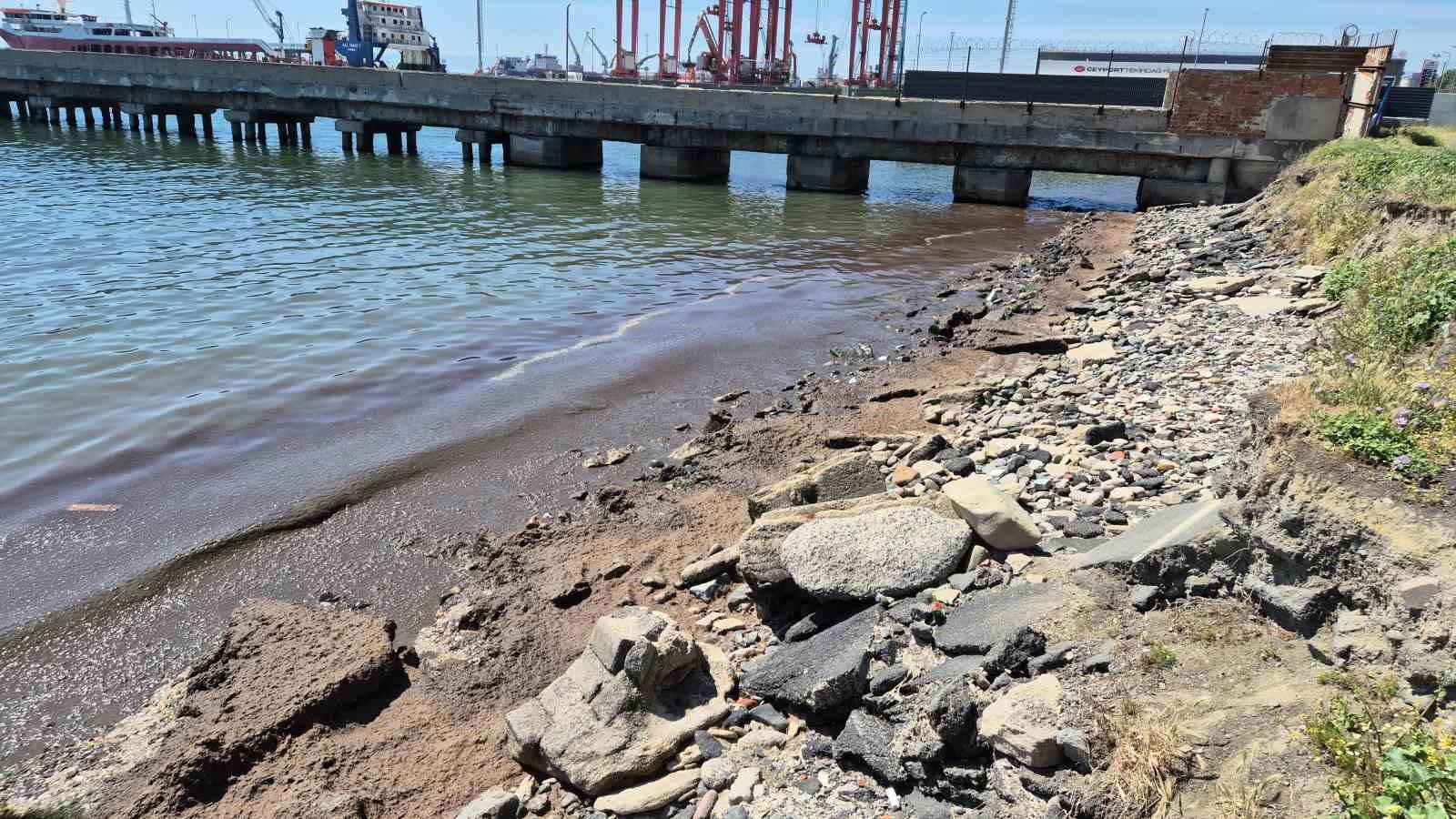 Marmara Denizi’nin Tekirdağ kıyılarında kızıl yosun birikintisi oluştu
