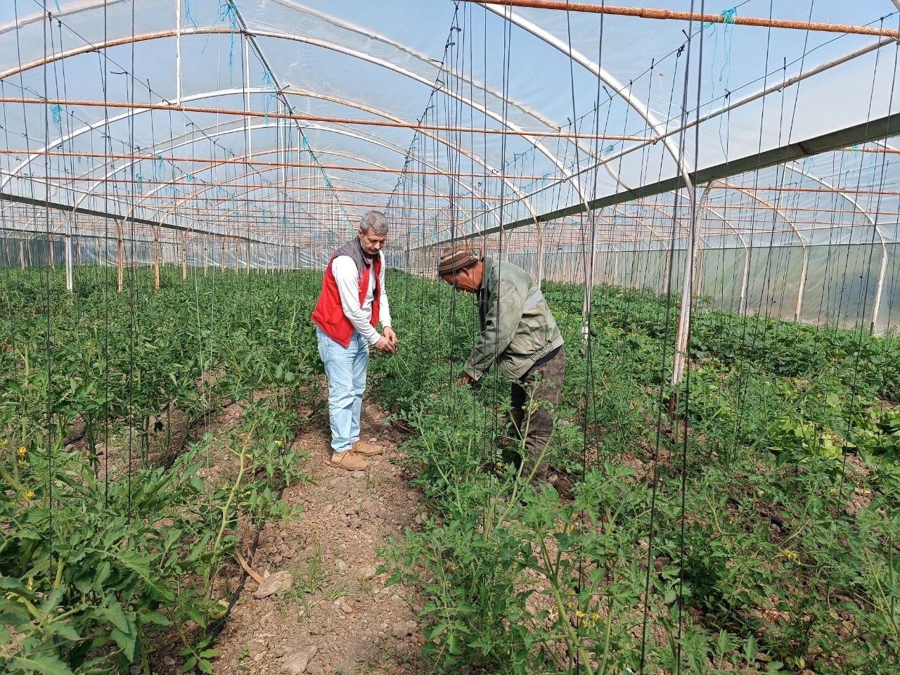 Yemişendere’de örtü altı sebze üreticilerine teknik destek