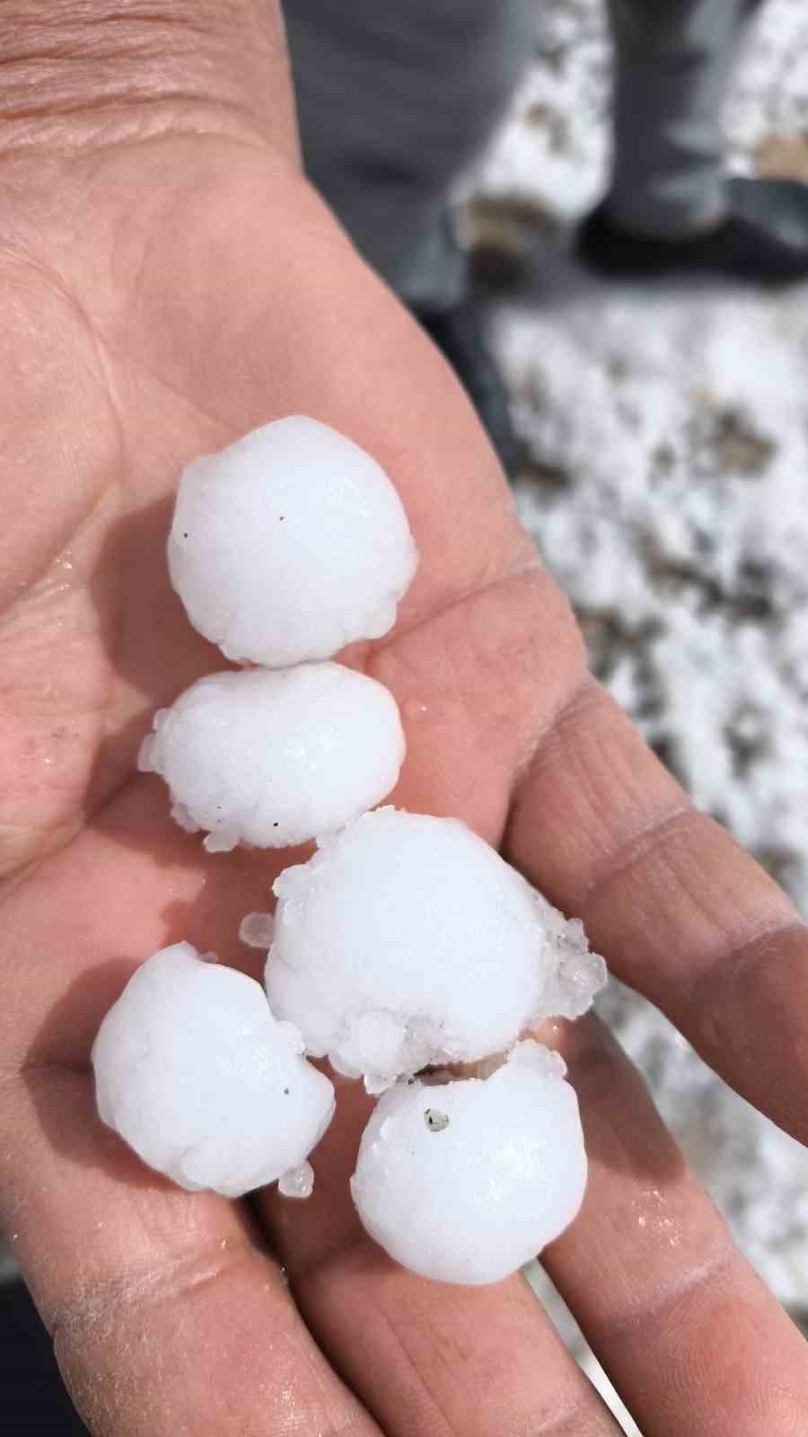Mazıdağı&rsquo;nda dolu yağışı hayatı olumsuz etkiledi
