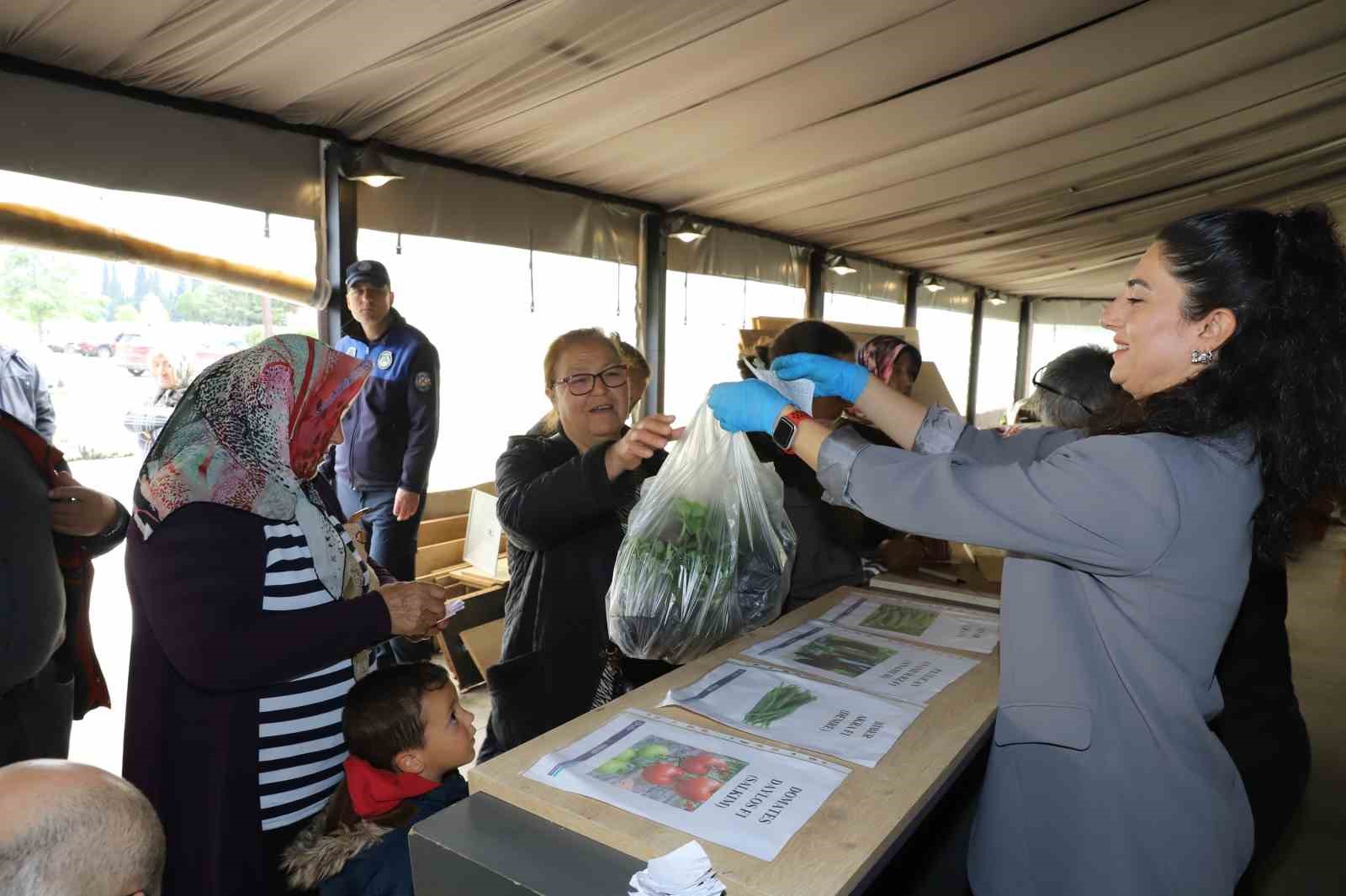 Ordulu &uuml;reticilere 380 bin fidenin dağıtımına başladı

