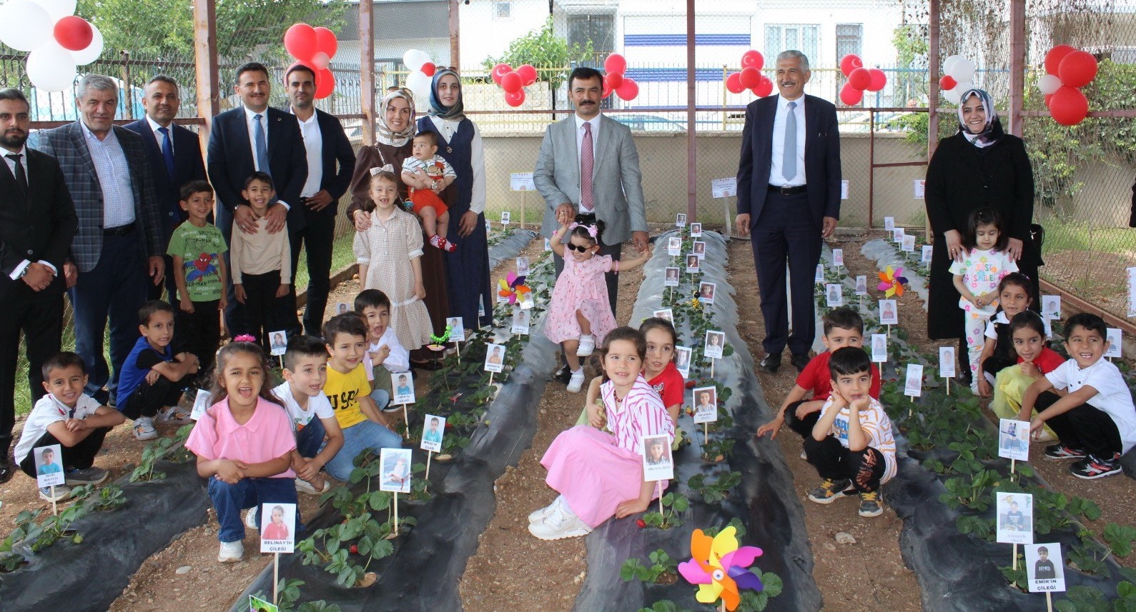 Kahta’da miniklerden çilek hasadı