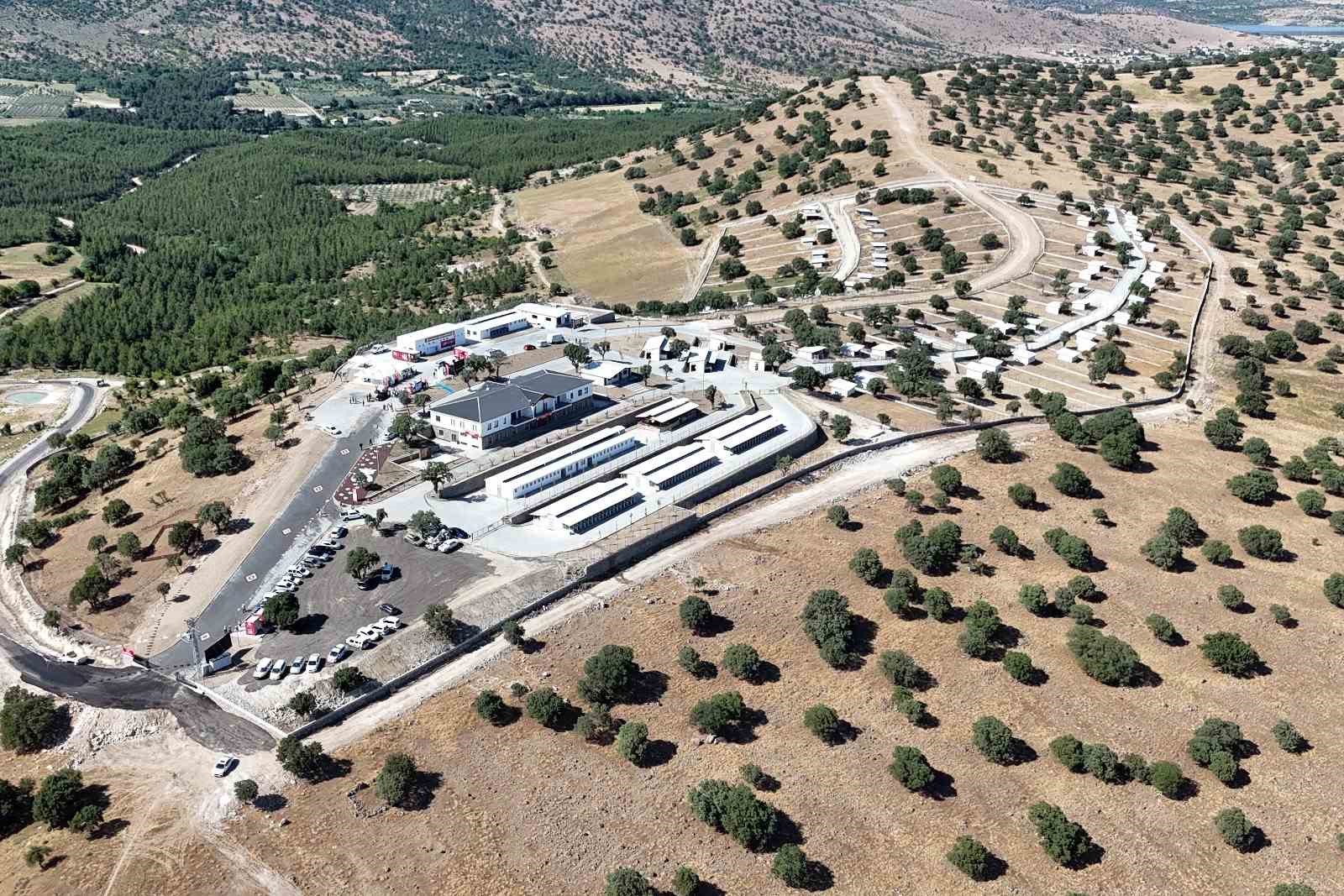 Manisa’da sokak hayvanları için örnek proje hayata geçti