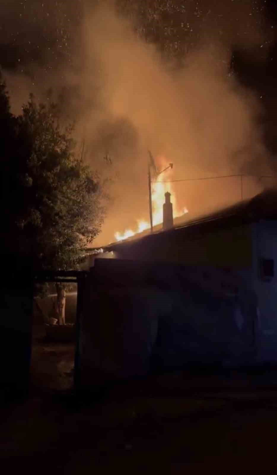 Bursa’da ahır alevlere teslim oldu
