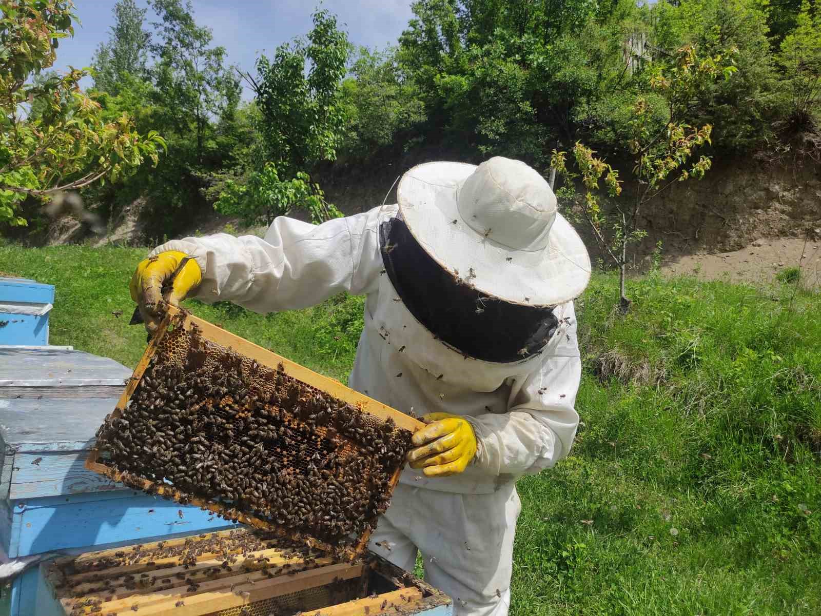 Ardahan’da arıcılar yeni sezona hazırlanıyor
