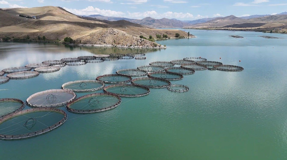 Tercan Barajının doluluk oranı y&uuml;zde y&uuml;ze ulaştı
