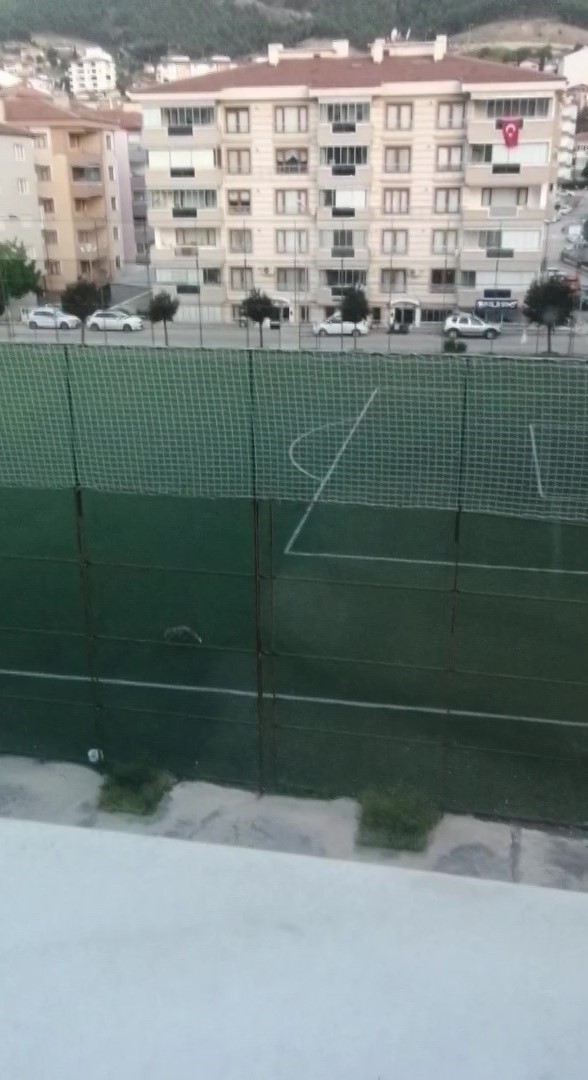 Tilki futbol sahasına girdi
