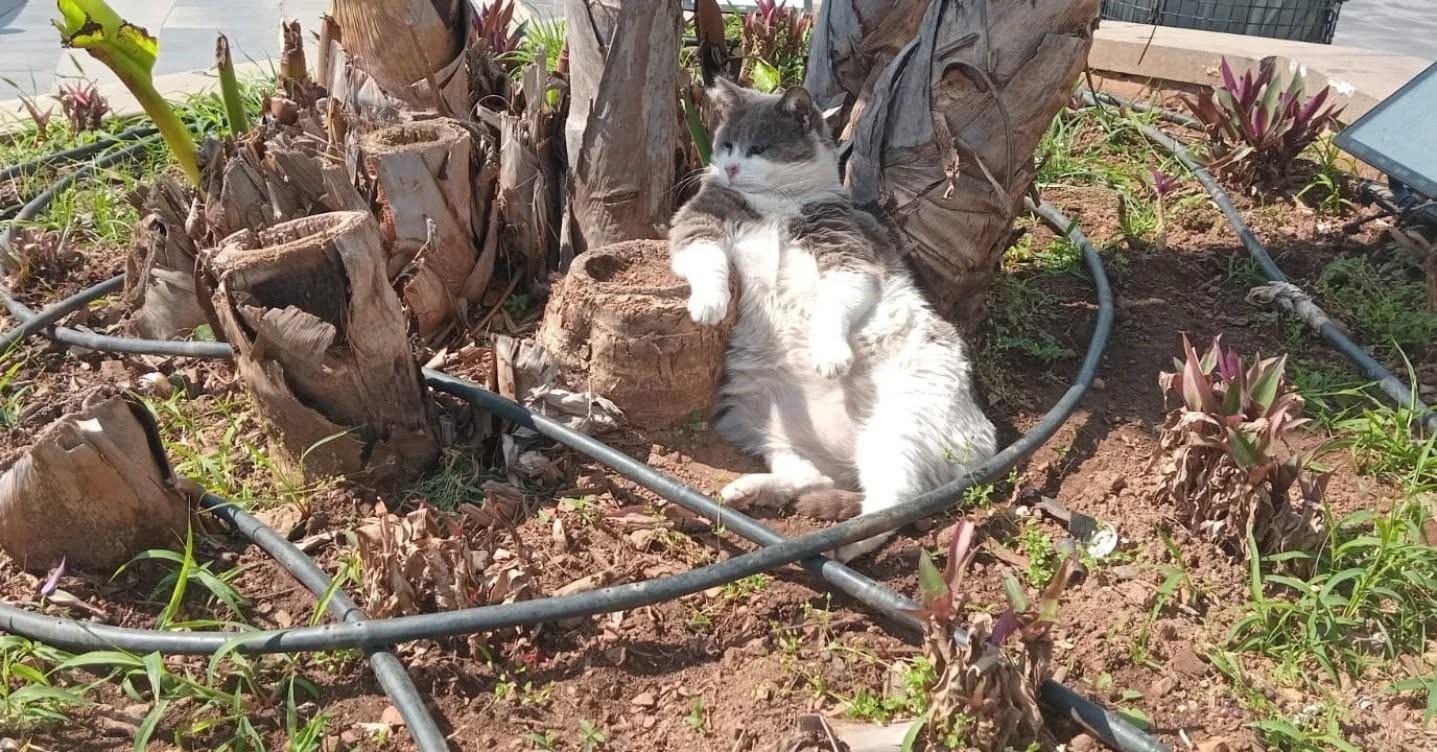 İşçiler çalıştı, o keyfini bozmadı