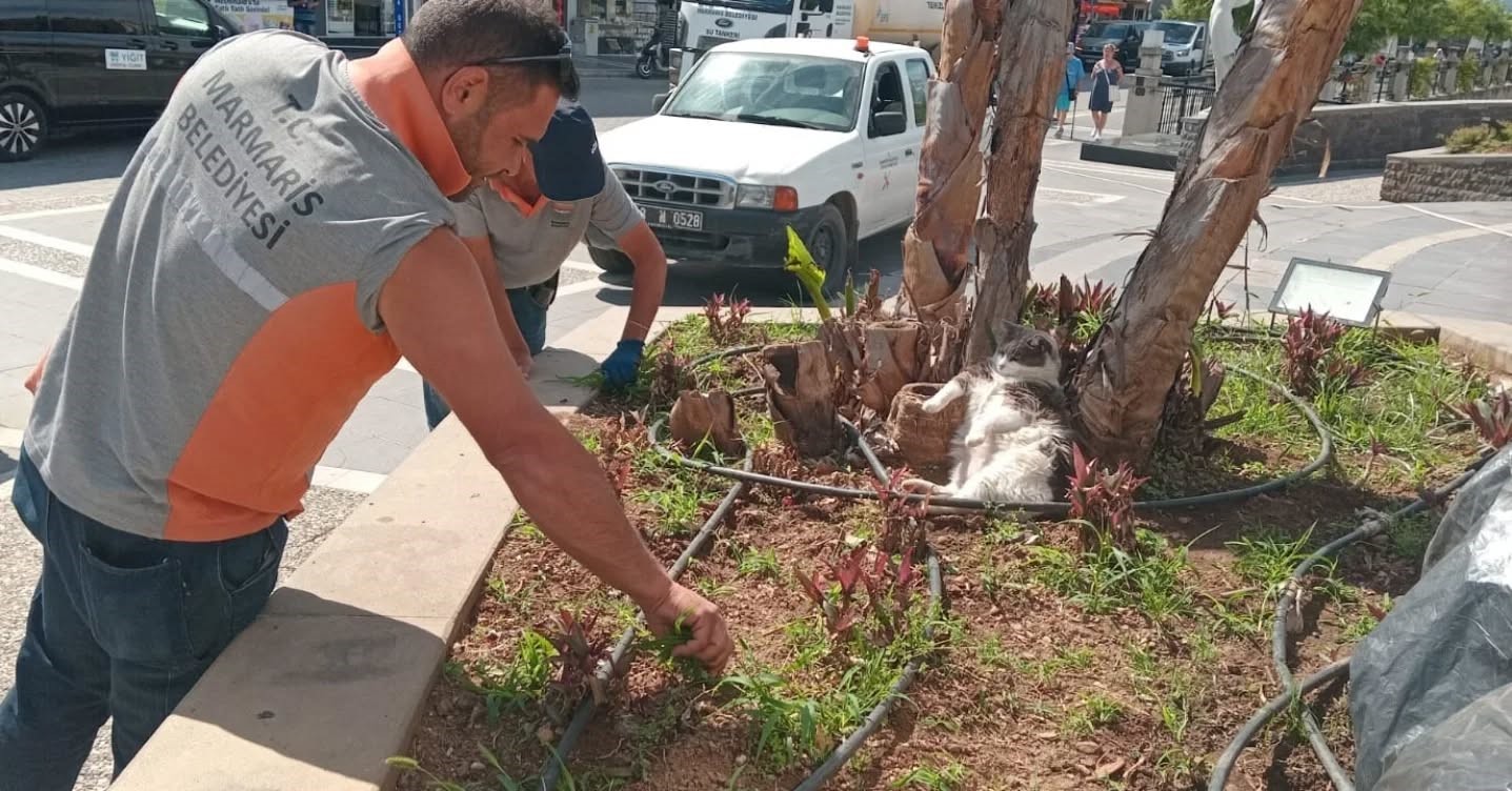 İş&ccedil;iler &ccedil;alıştı, o keyfini bozmadı
