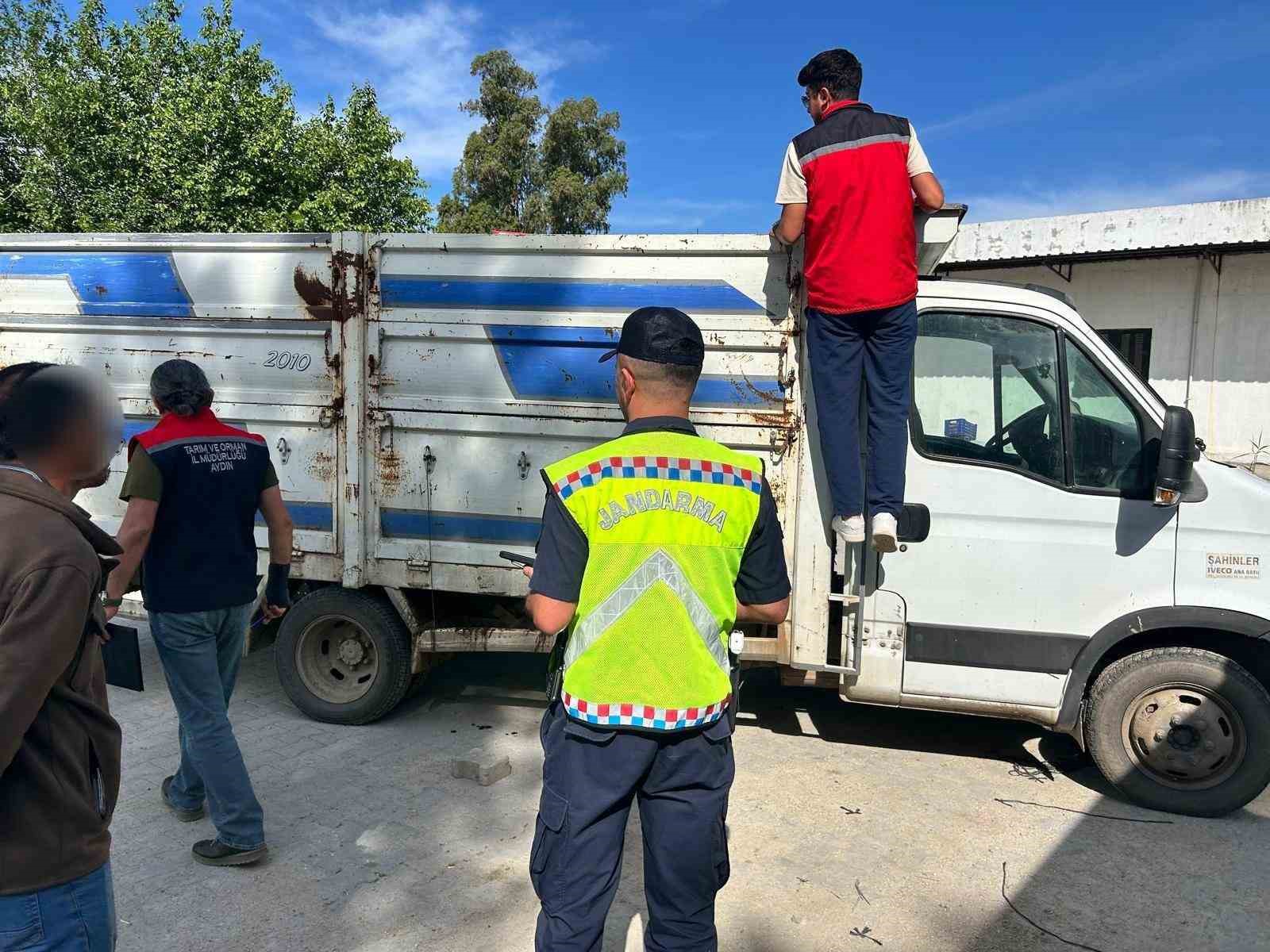 Eksik evrakla canlı hayvan taşıyan 2 kişi cezadan kaçamadı

