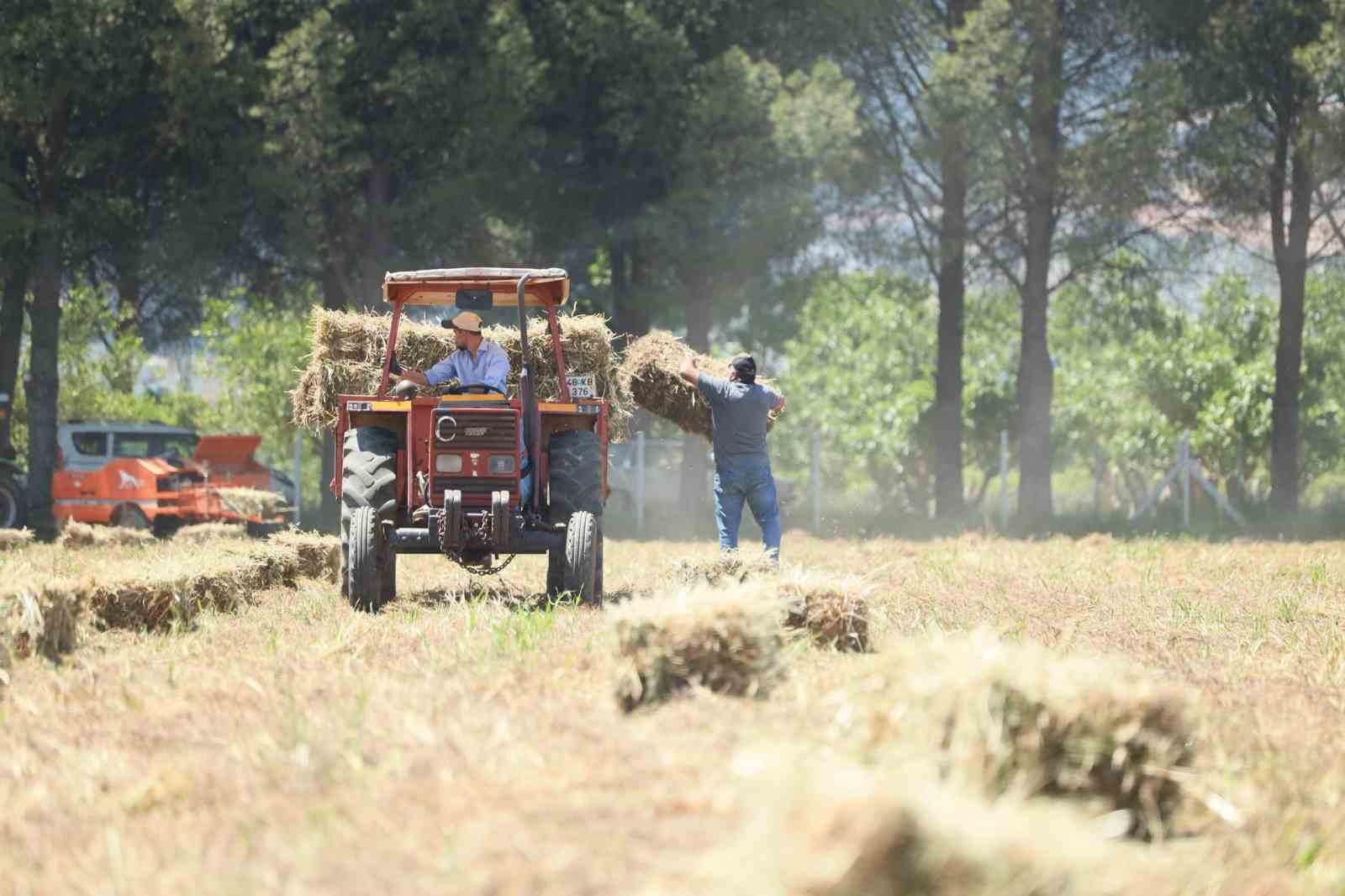 Kadın çiftçilere ‘Saman Balya’ desteği
