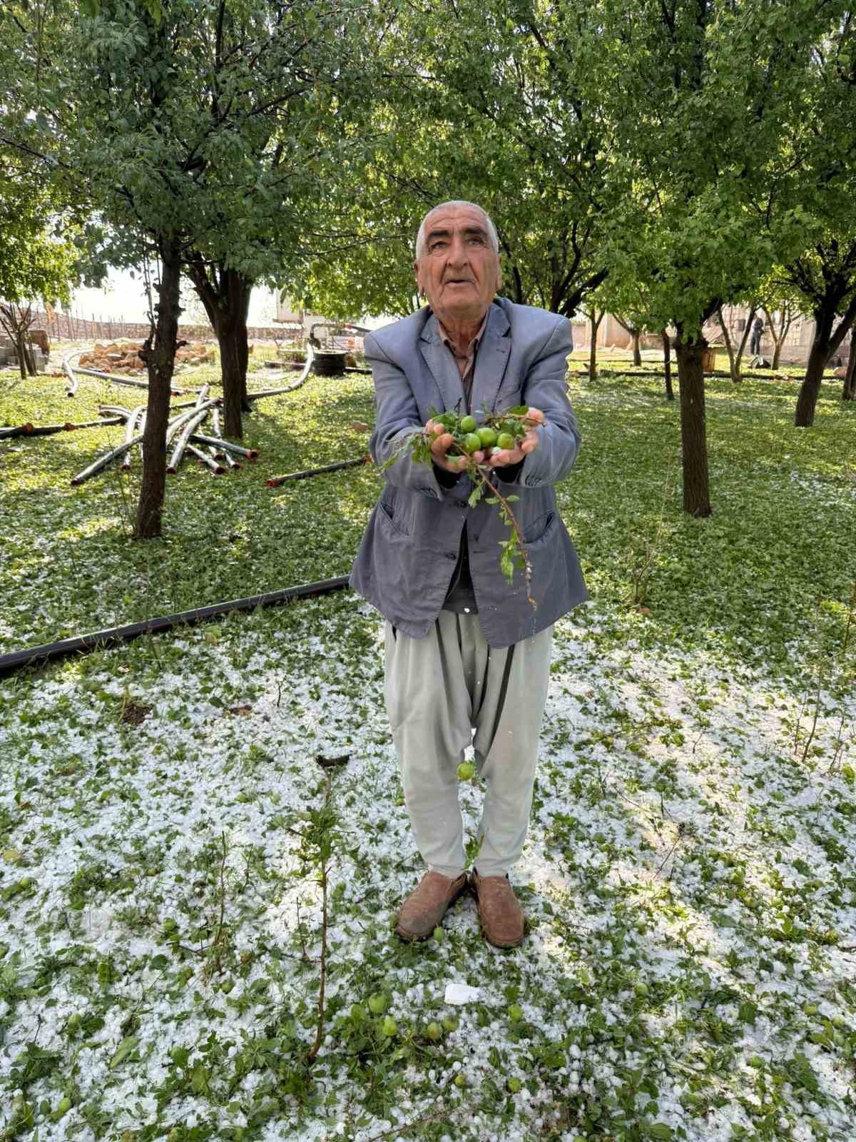 Mardin’de 40 bin dekar arazi dolu yağışından etkilendi

