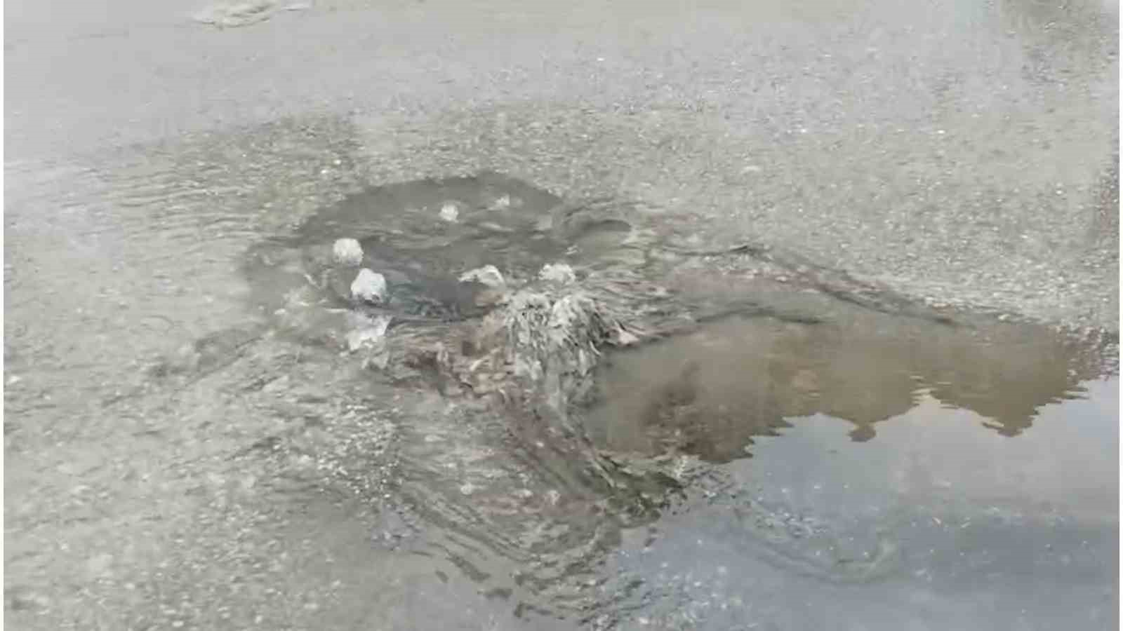 Marmara Denizi&rsquo;nde kirliliğe neden olan &Ccedil;ınarcık Belediyesi&rsquo;ne 1,3 milyon lira ceza
