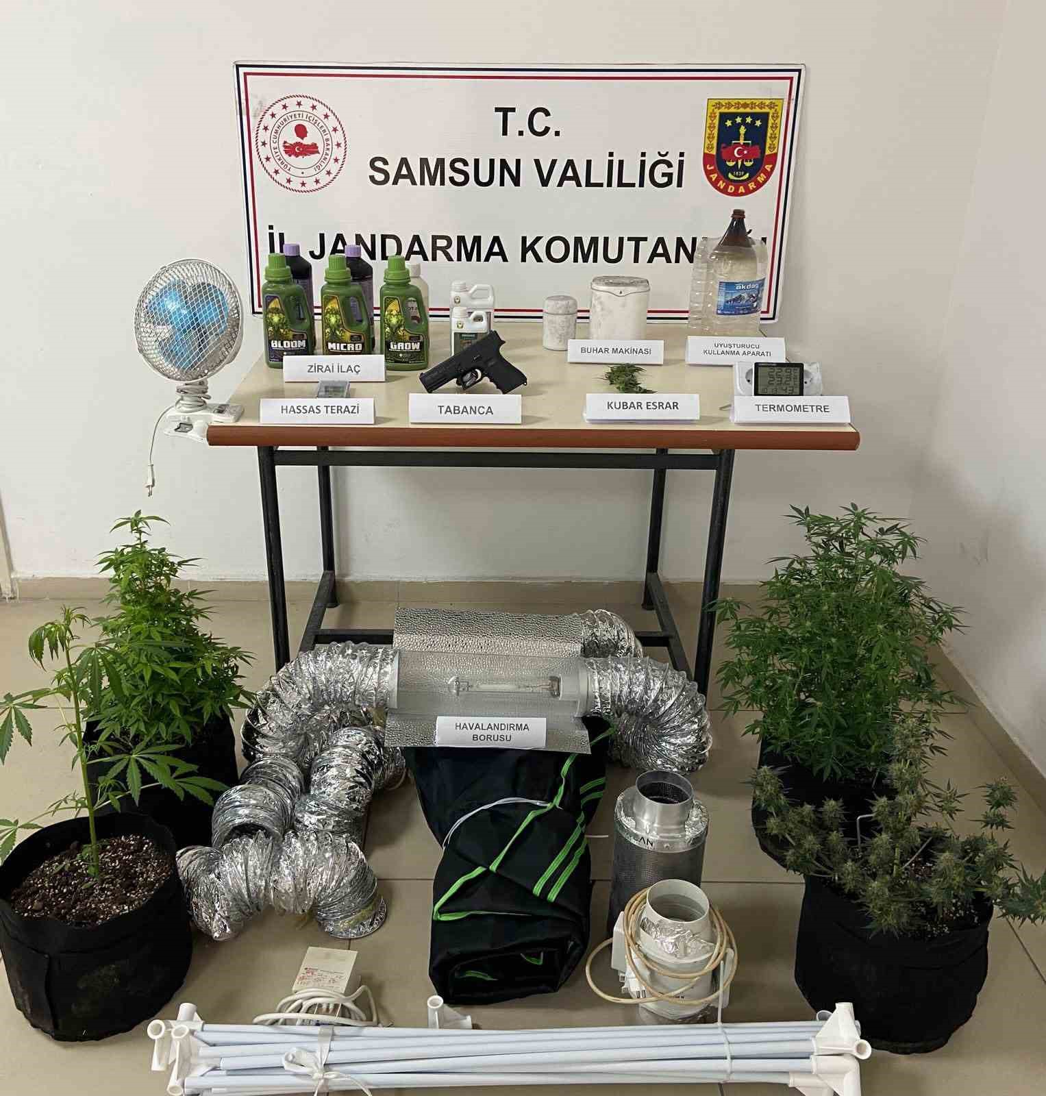 Jandarmadan evinde uyuşturucu yetiştiren şahsa operasyon
