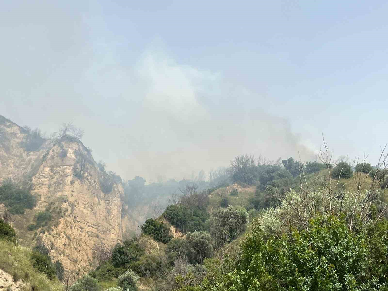 Aydın’da zirai alan yangını