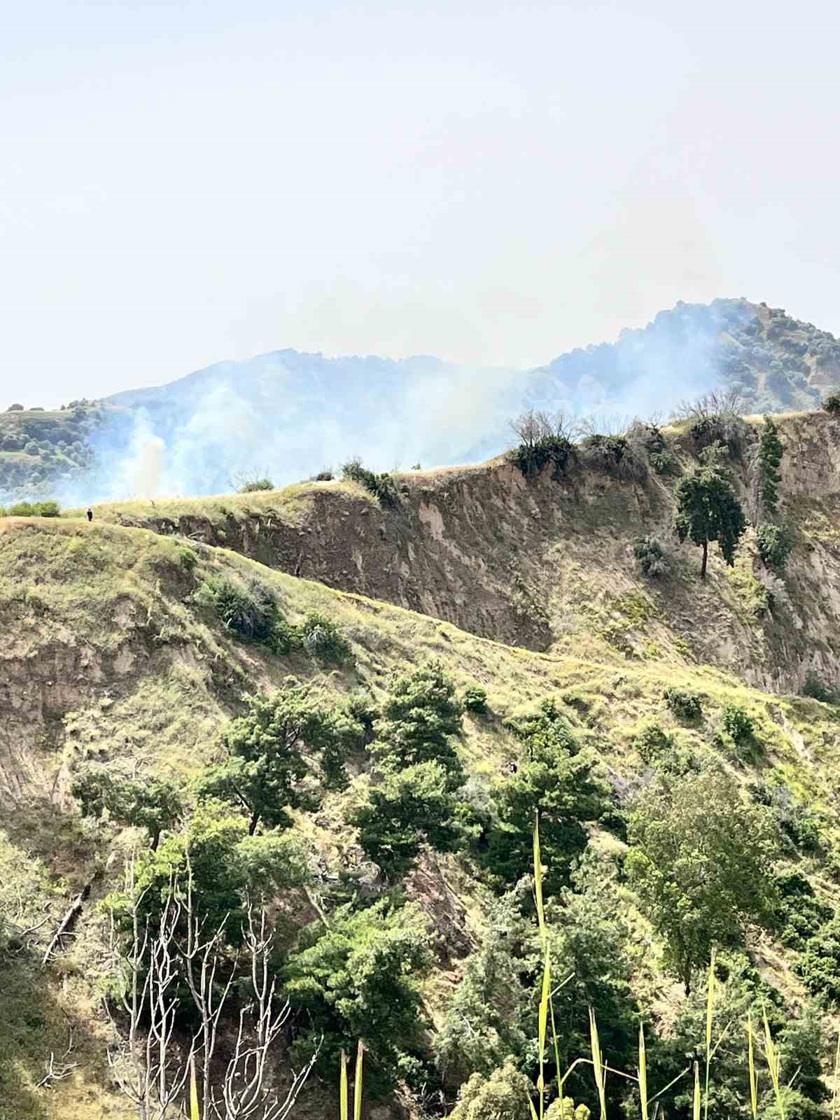 Aydın&rsquo;da zirai alan yangını
