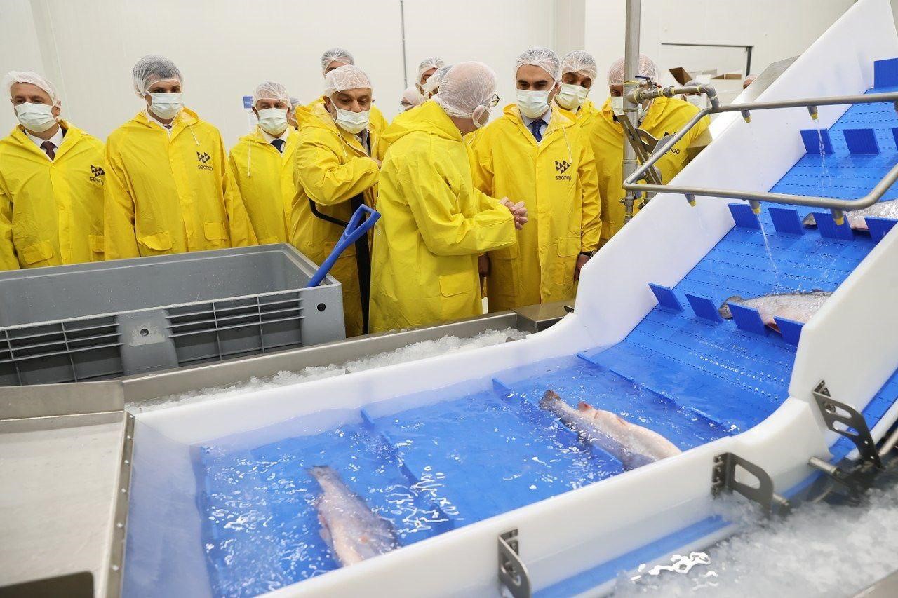 Bakan Kacır, bölgenin lokomotifi olacak su ürünleri işleme tesisini gezdi
