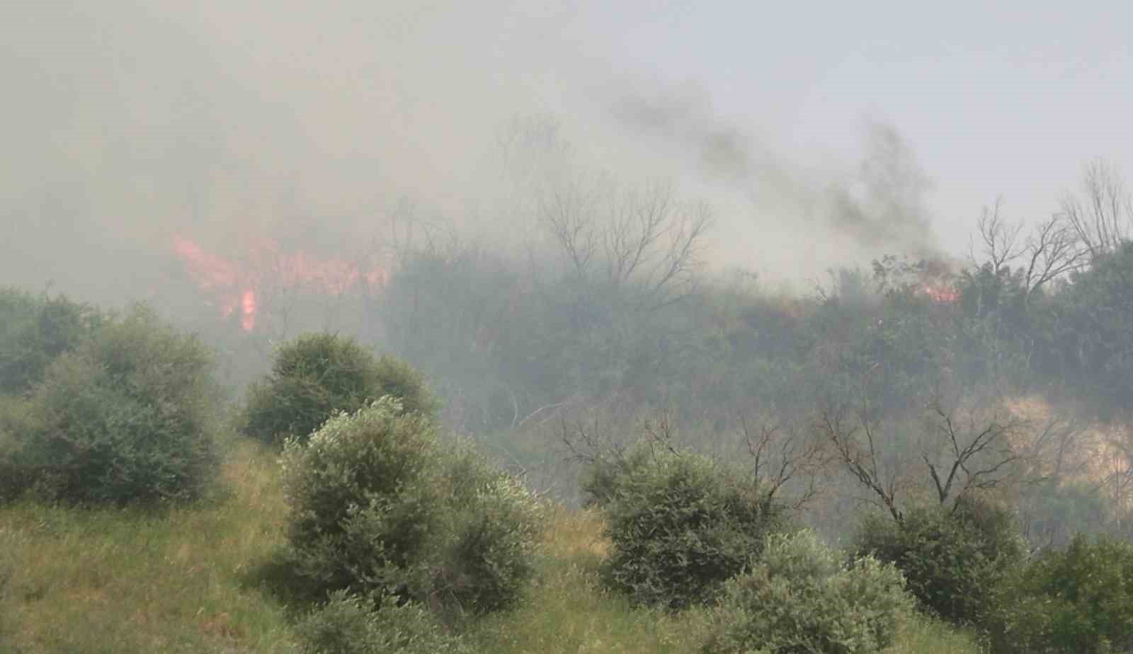 Aydın’daki yangın kontrol altına alındı