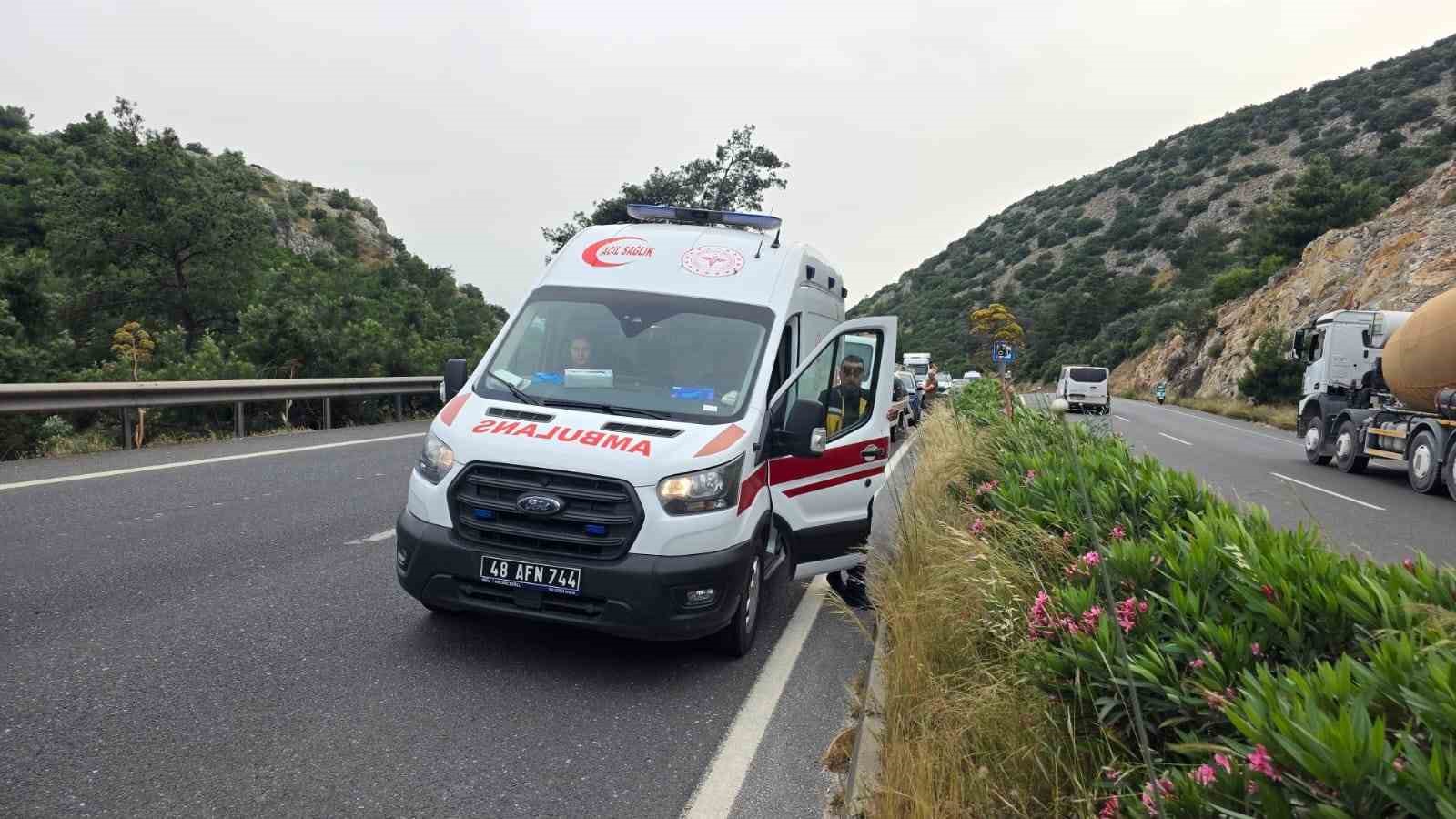 Zincirleme kazadan sonra yol ortasında kalan k&ouml;peğe polis sahip &ccedil;ıktı
