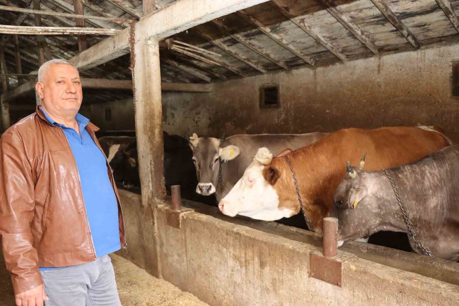 Erzurum’da kurbanlık satışında bekleyiş sürüyor