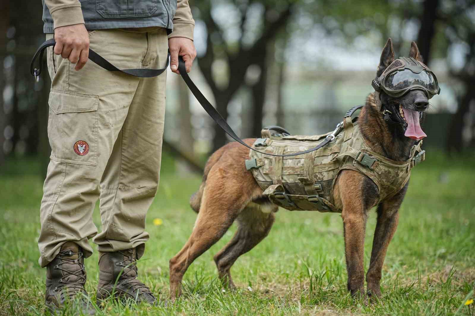 Vatan savunması can dostlara emanet