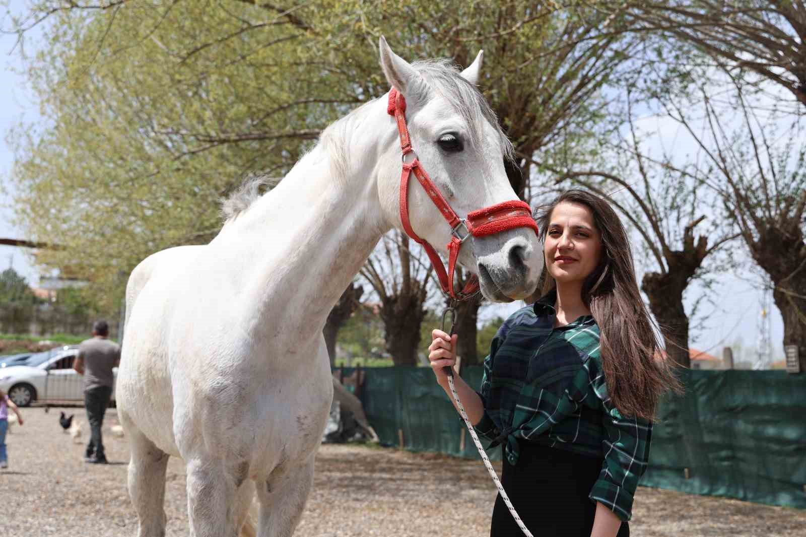 Tarihi dizilerde gördüler, biniciliğe merak saldılar