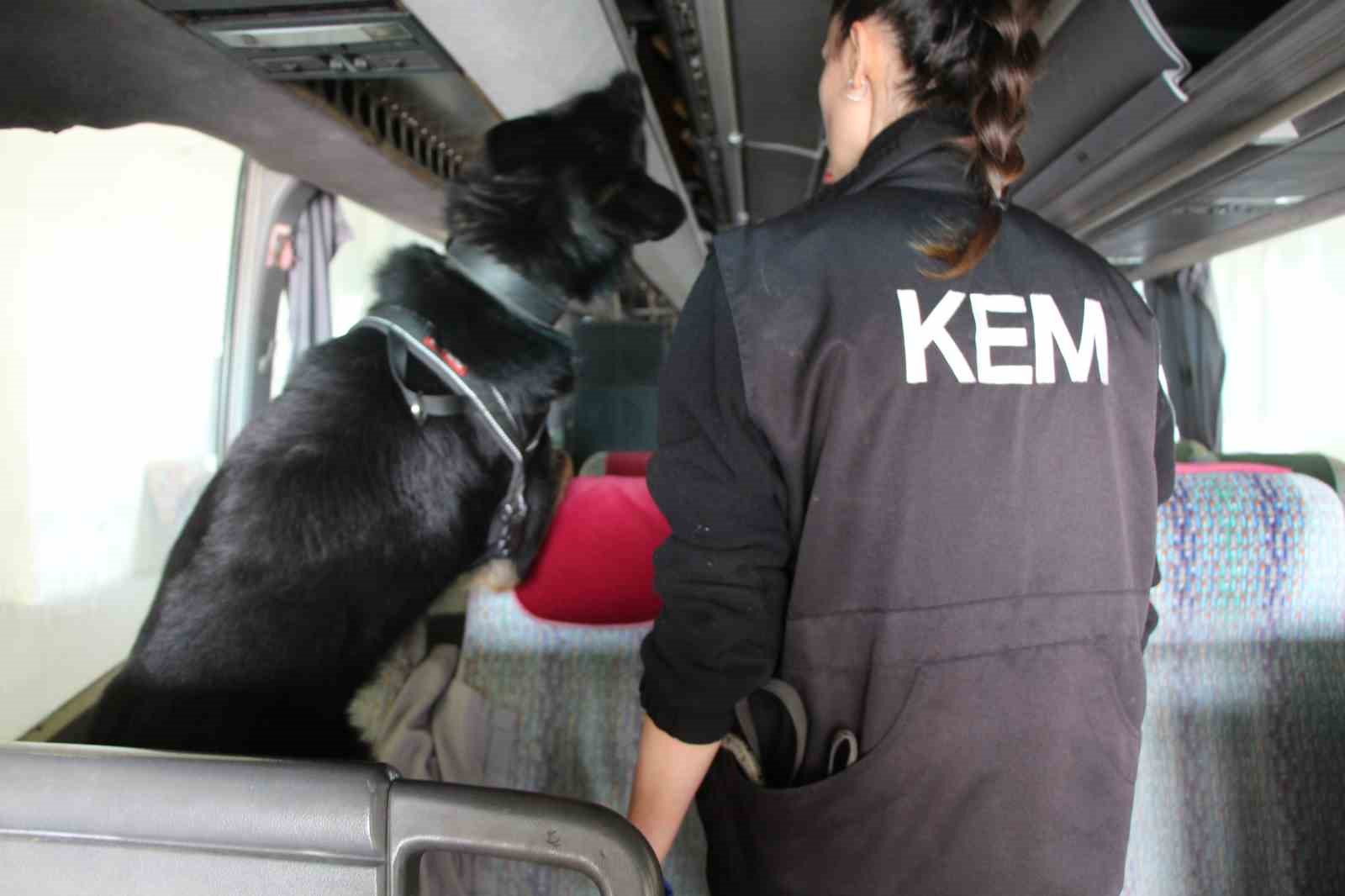 Kapıkule’de 77 kilo ecstacy ele geçirildi