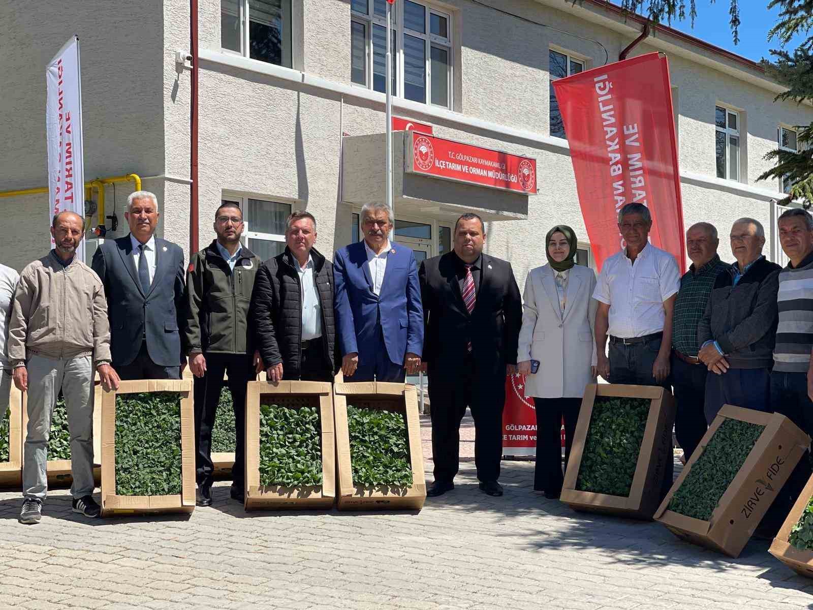 Gölpazarı’nda yerli ve milli fide dağıtım programı gerçekleştirildi