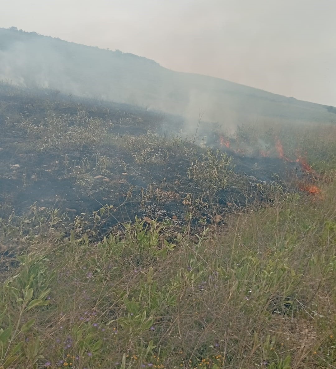 &Ccedil;ivril&rsquo;de otluk alanda yangın &ccedil;ıktı
