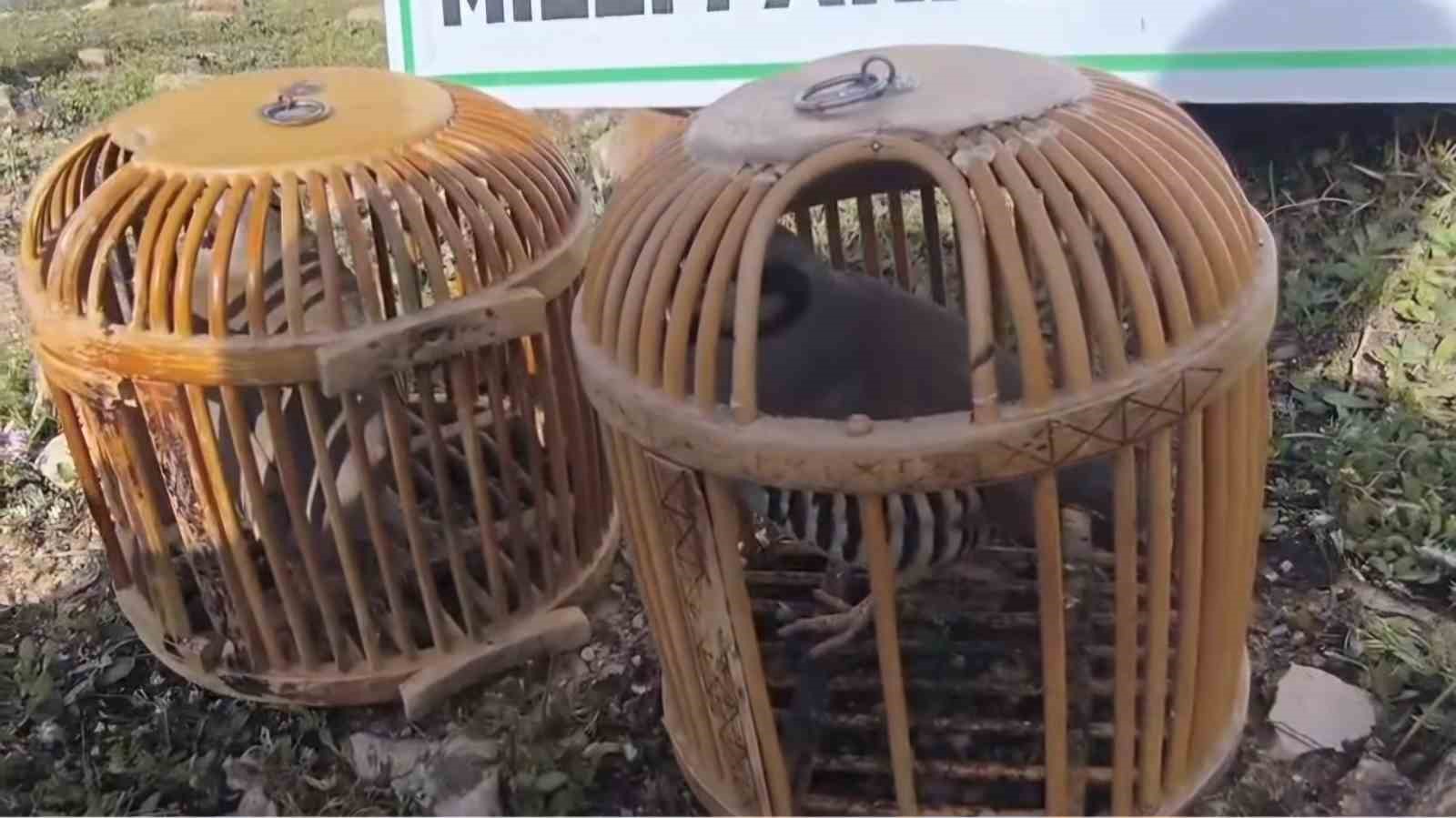 Siirt’te keklik avlayan kişiye 63 bin lira ceza kesildi