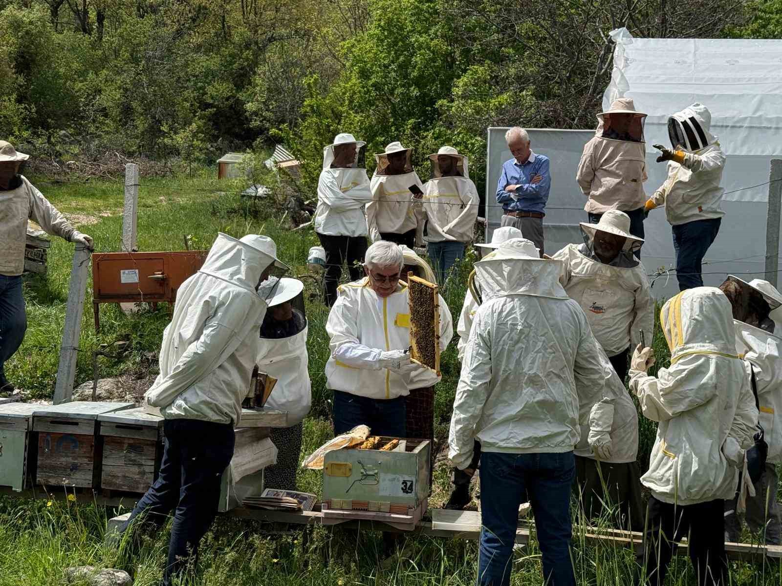 Bolu’nun dört bir yanından arı kursuna yoğun ilgi