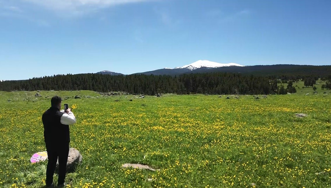 Kars&rsquo;ta sarı&ccedil;i&ccedil;ekler g&ouml;renleri b&uuml;y&uuml;l&uuml;yor
