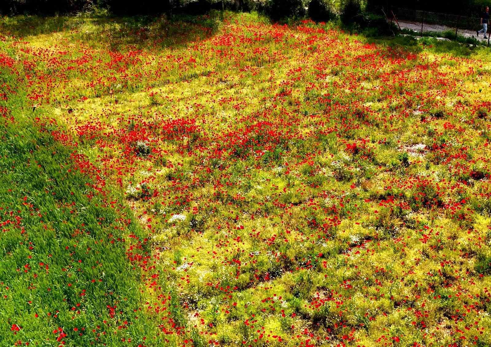 Muğla’nın sessiz güzelliği
