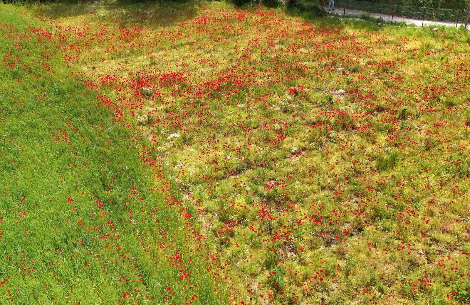 Muğla&rsquo;nın sessiz g&uuml;zelliği
