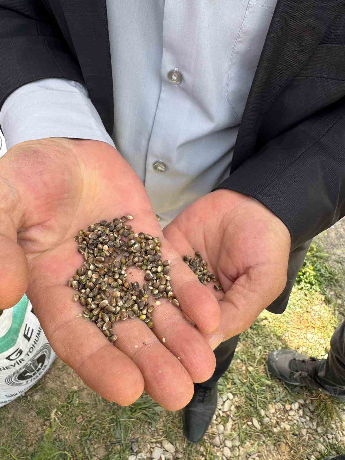 Kulu’da kenevir ekimi başladı