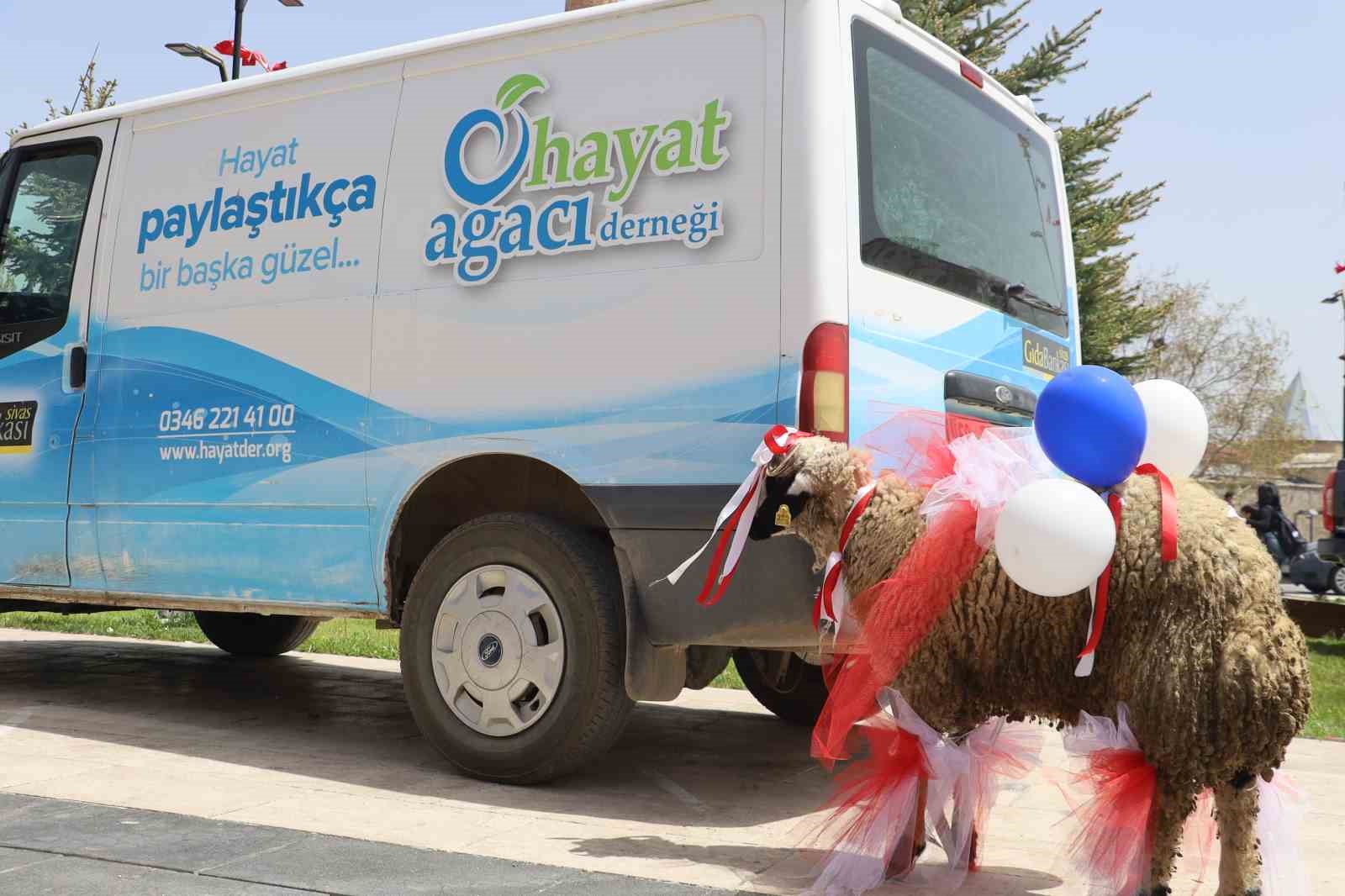 Sivas Belediyesi ara&ccedil; filosuna g&uuml;&ccedil; kattı
