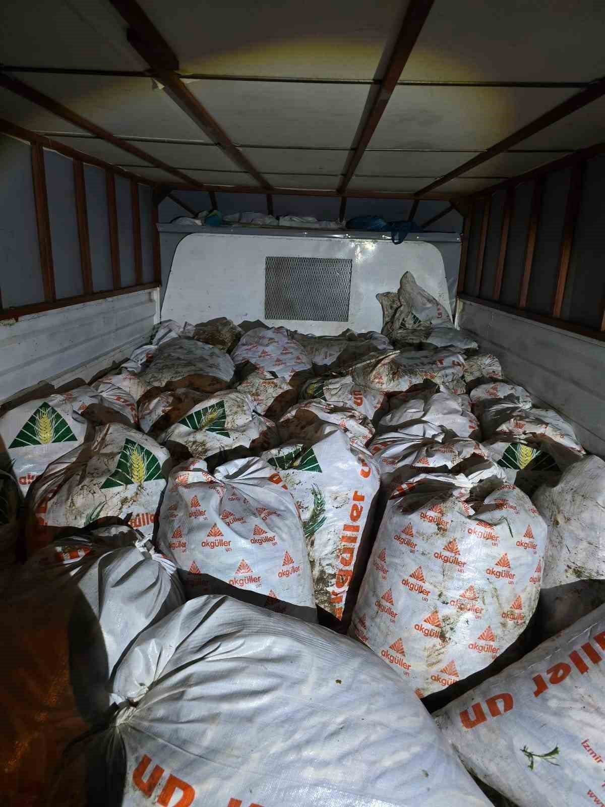 Van&rsquo;da 3 ton 370 kilogram inci kefali ele ge&ccedil;irildi
