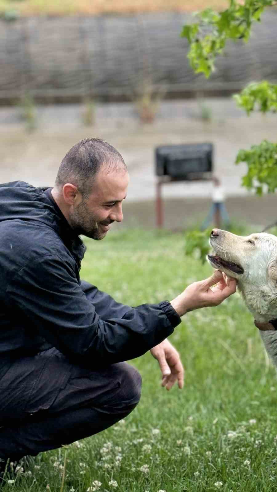 Bankada mahsur kalan köpek alarm sistemini devreye soktu: Çevredekiler hırsız var sandı

