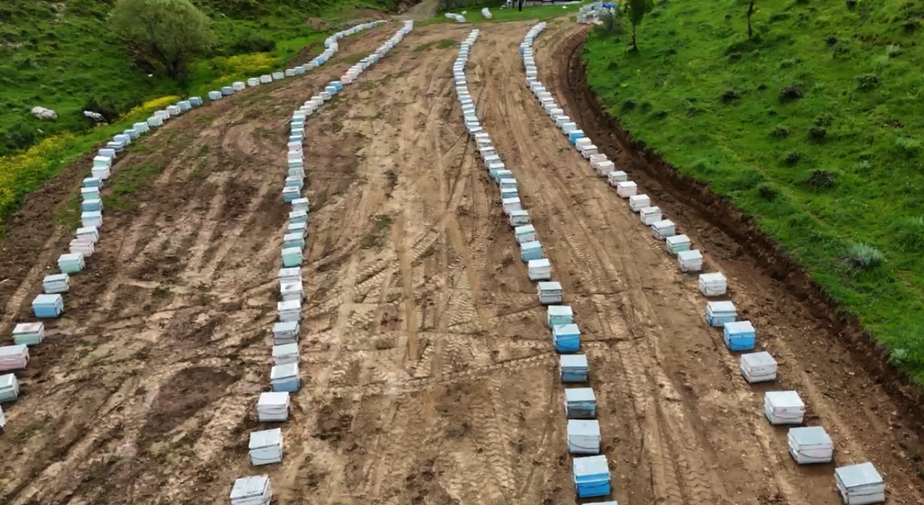 Bitlisli arıcılar yeni sezona hazır