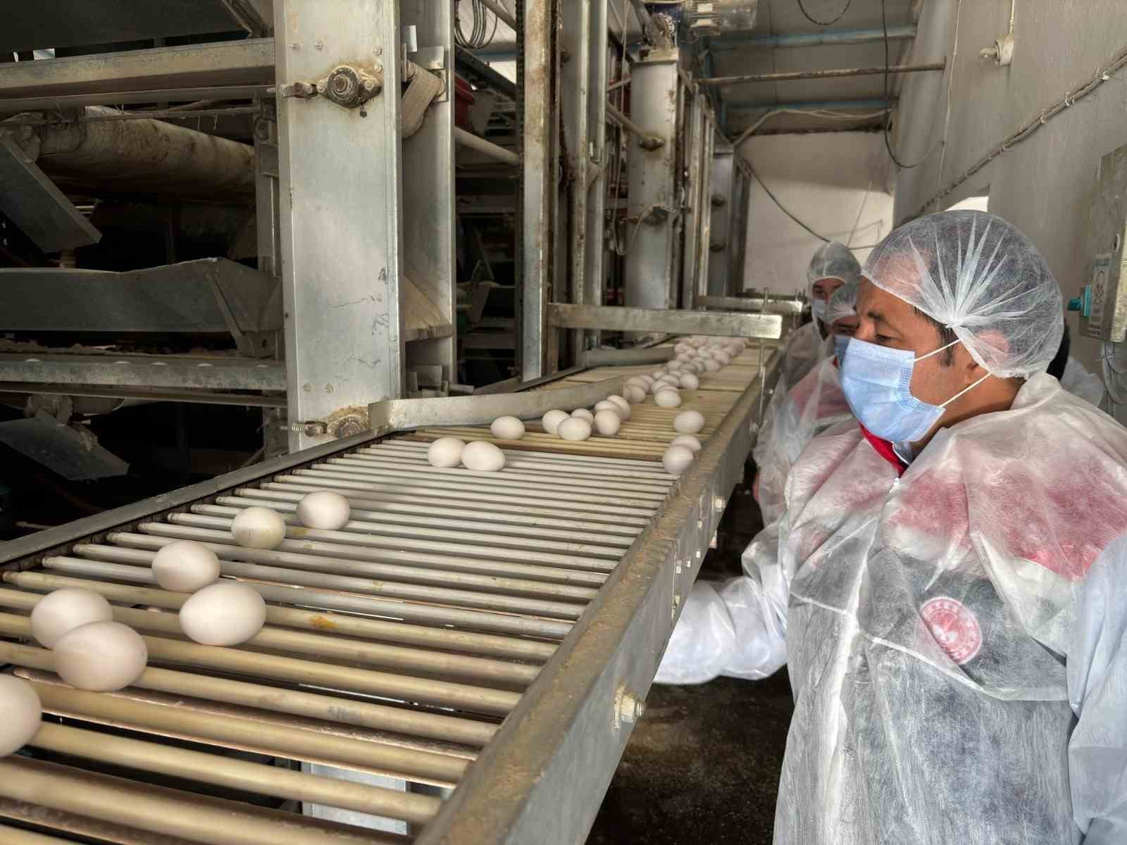 Yumurta tavukçuluğu sektöründe 80 bin adet tavuk bulunan işletmeye ek olarak yeni tesis geliyor