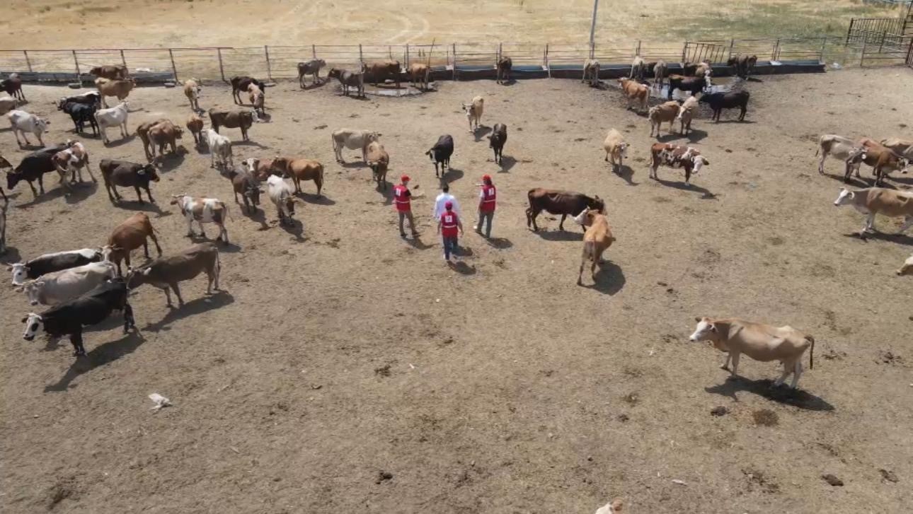Kızılay&rsquo;dan her g&uuml;n binlerce aileye sıcak yemek desteği
