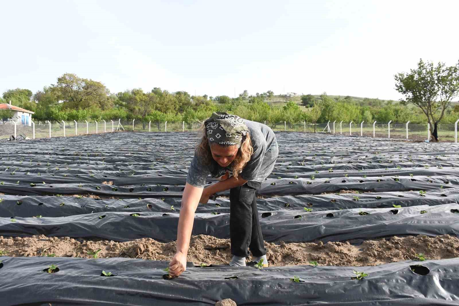 Pandemi günlerinde Ankara’yı terk etti, memleketinde üretici oldu, şimdi talepleri yetiştiremiyor