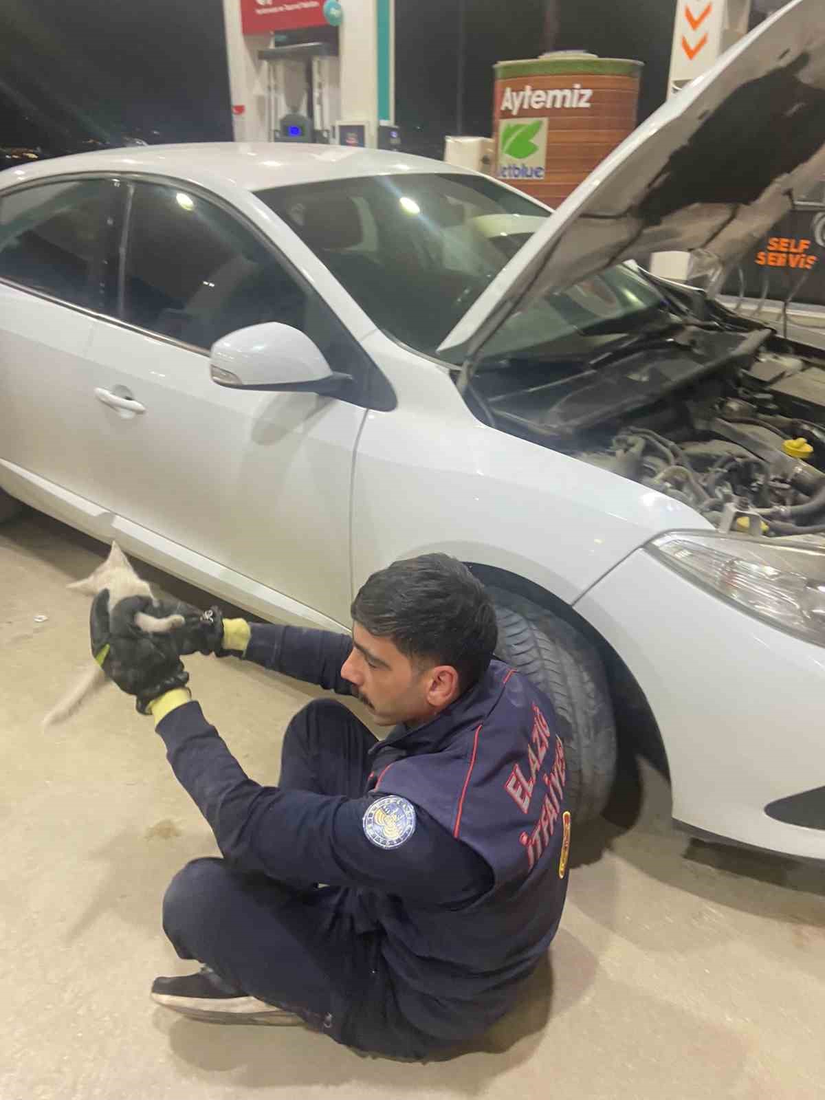 Elazığ’da aracın motor kısmına sıkışan kedi, itfaiye tarafından kurtarıldı
