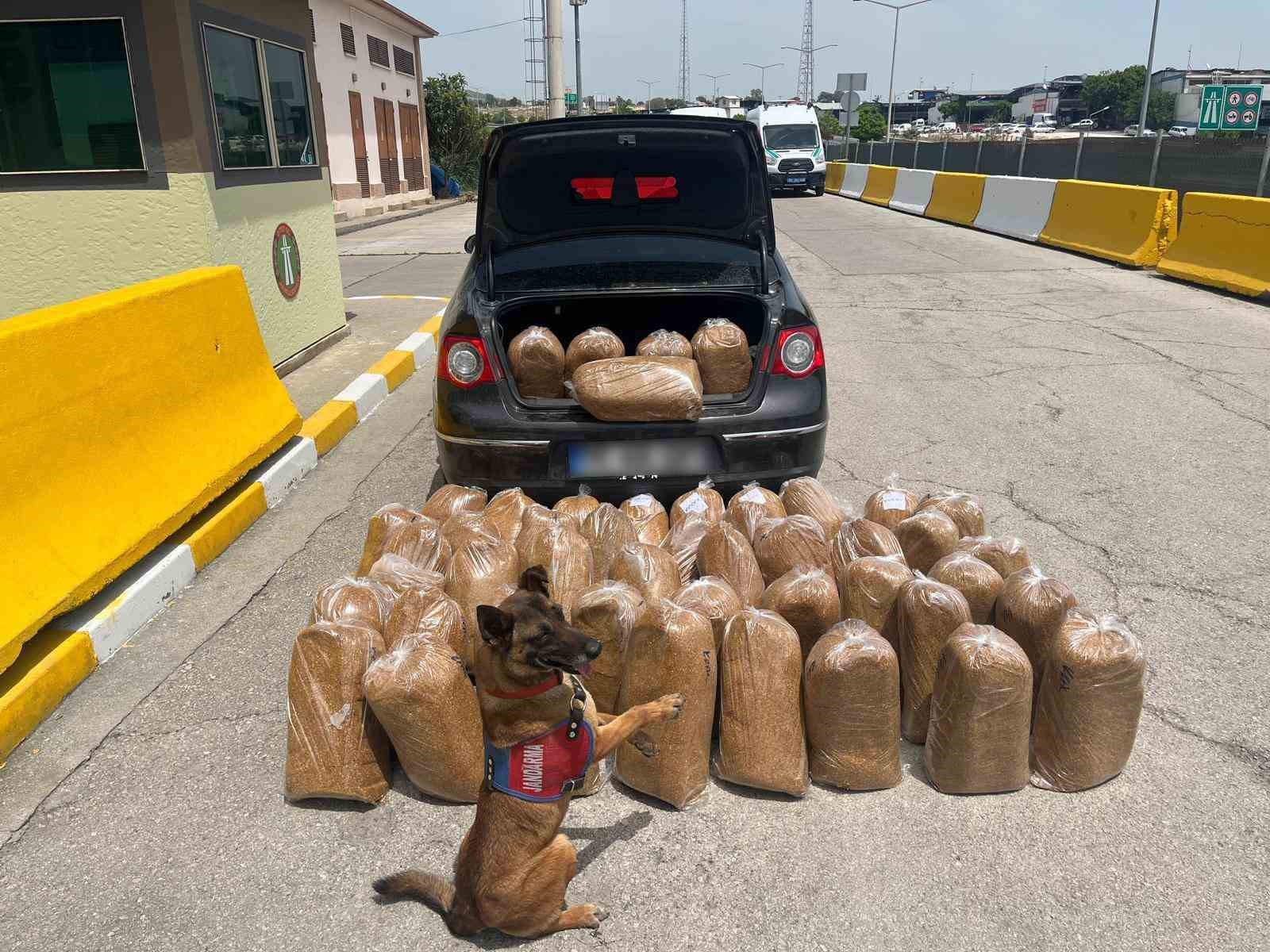 Mersin’de kaçak tütün ve makaron operasyonu: 4 gözaltı