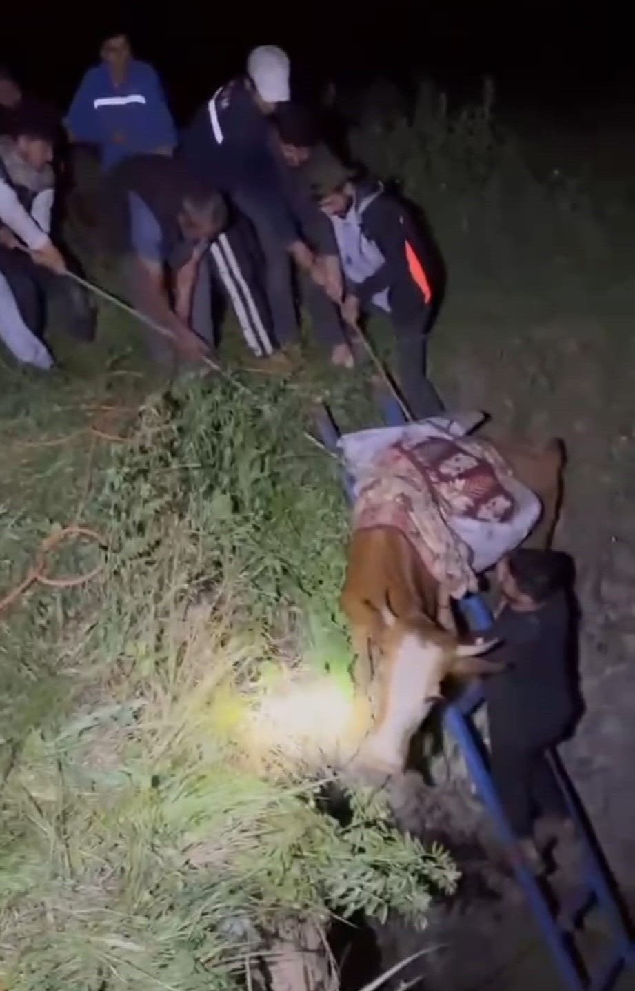 Batman’da derin çukura düşen ineği köylüler kurtardı