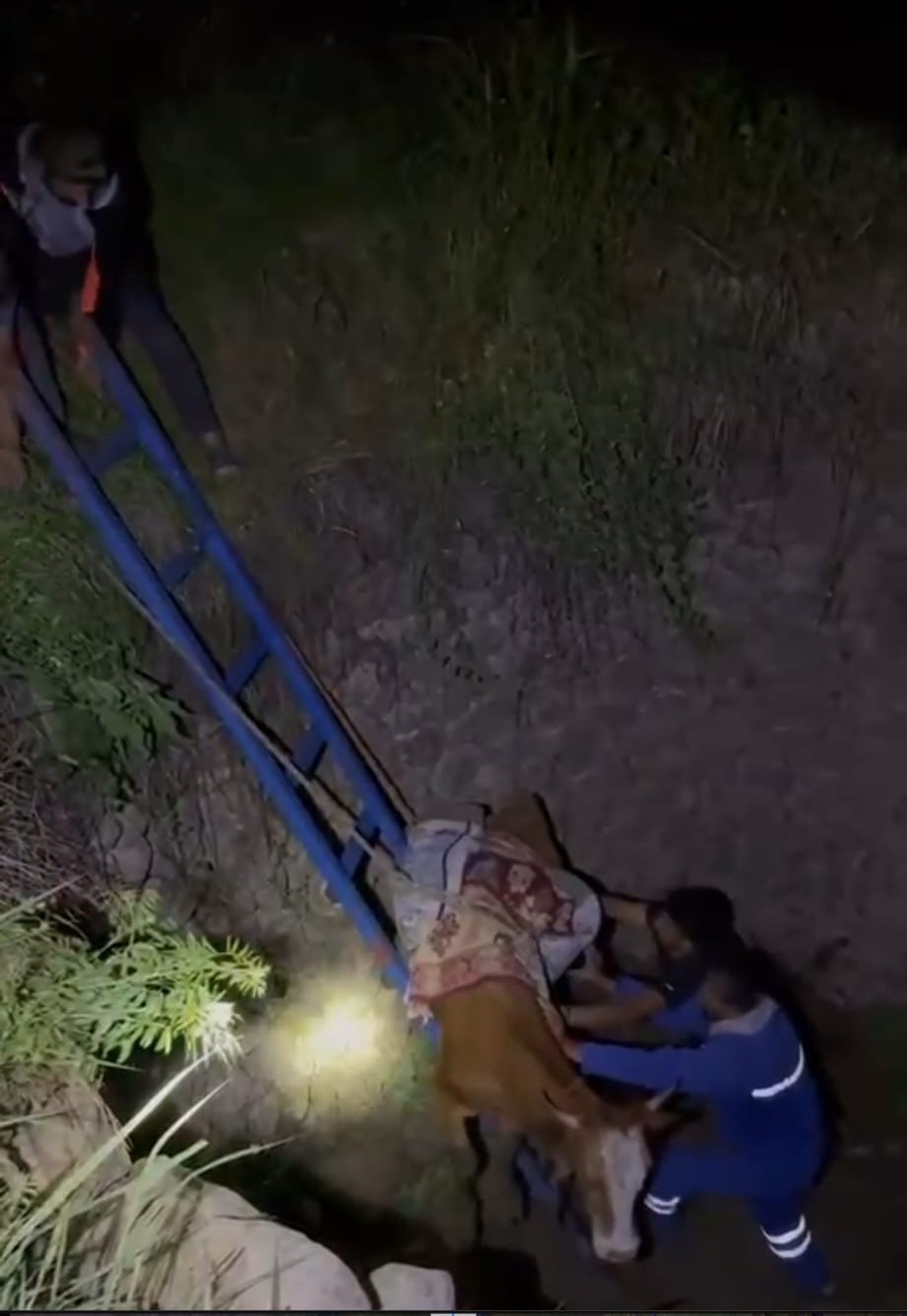 Batman&rsquo;da derin &ccedil;ukura d&uuml;şen ineği k&ouml;yl&uuml;ler kurtardı
