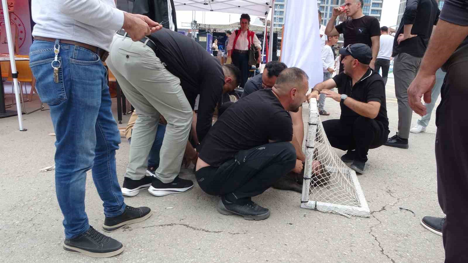 Malatya&rsquo;da etkinlikte pitbull dehşeti: Bir kadın yaralandı
