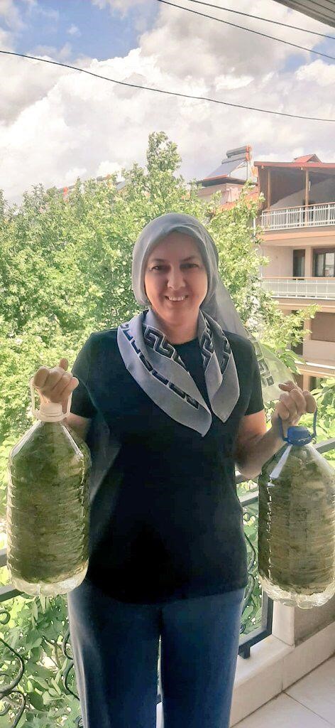 Sarıgöl’de evlerde salamura yaprak zamanı
