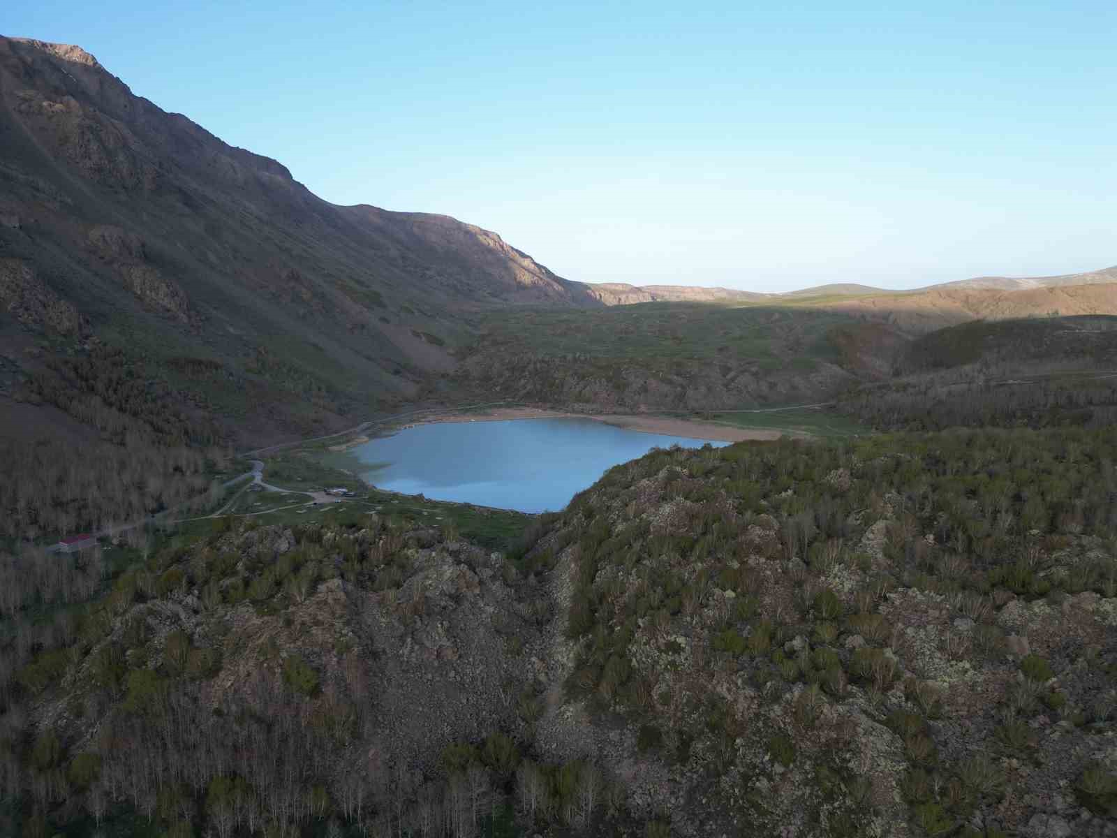 Nemrut’un maskot ayıları kış uykusundan uyandı