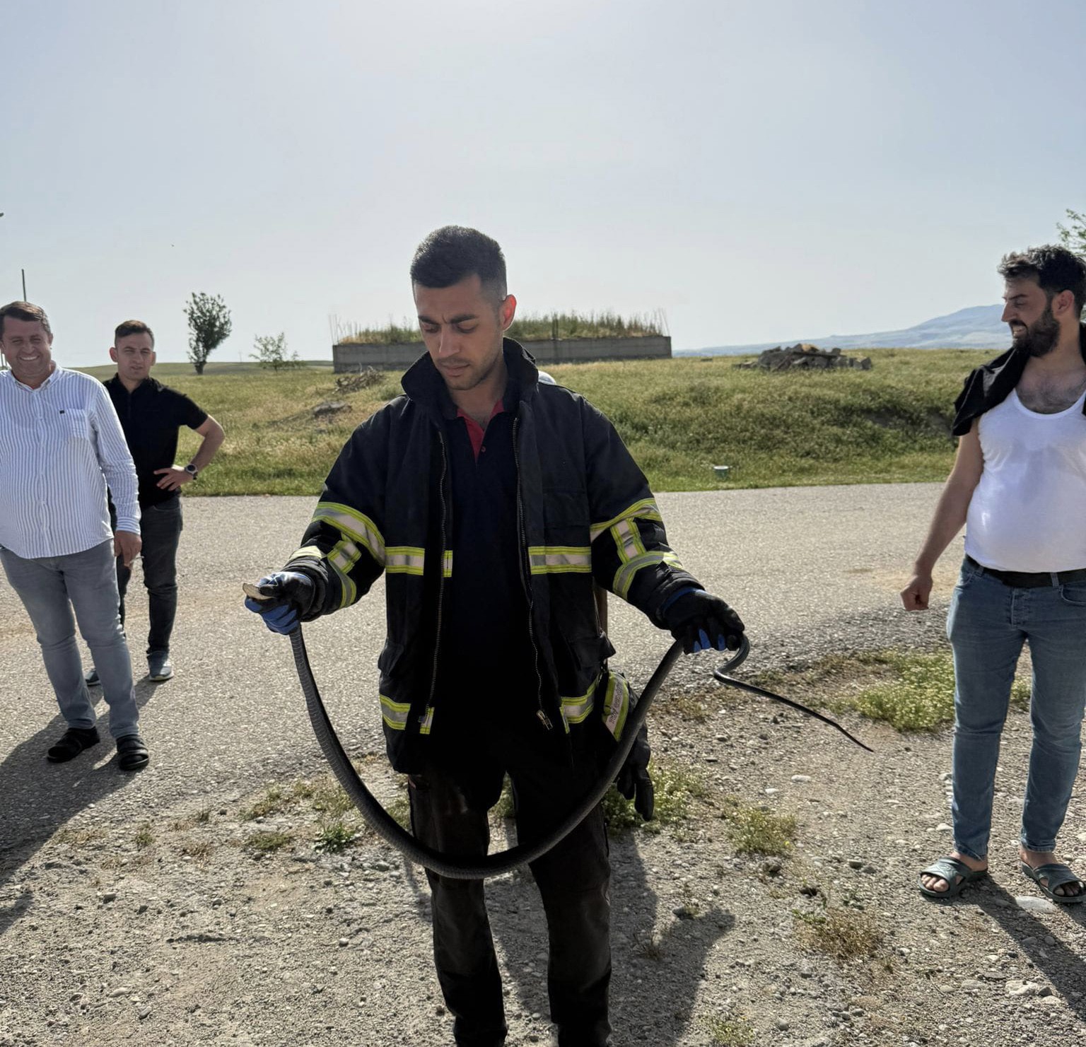 Batman’da tavan arasına giren yılan paniğe neden oldu