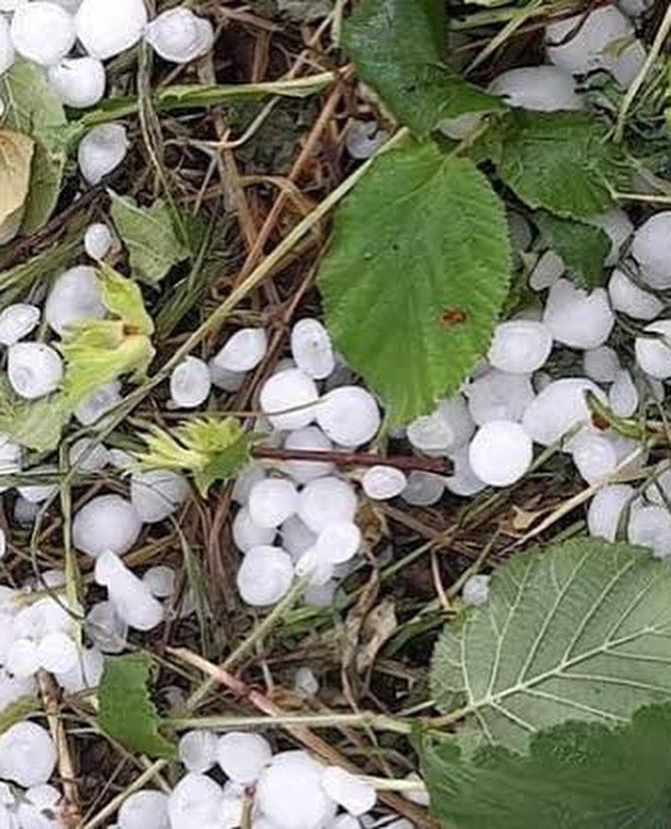 Sakarya’da dolu tarım arazilerini vurdu
